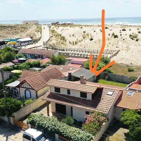 Villa 14 Personnes A 80M De L'Eau Derriere La Dune Lacanau